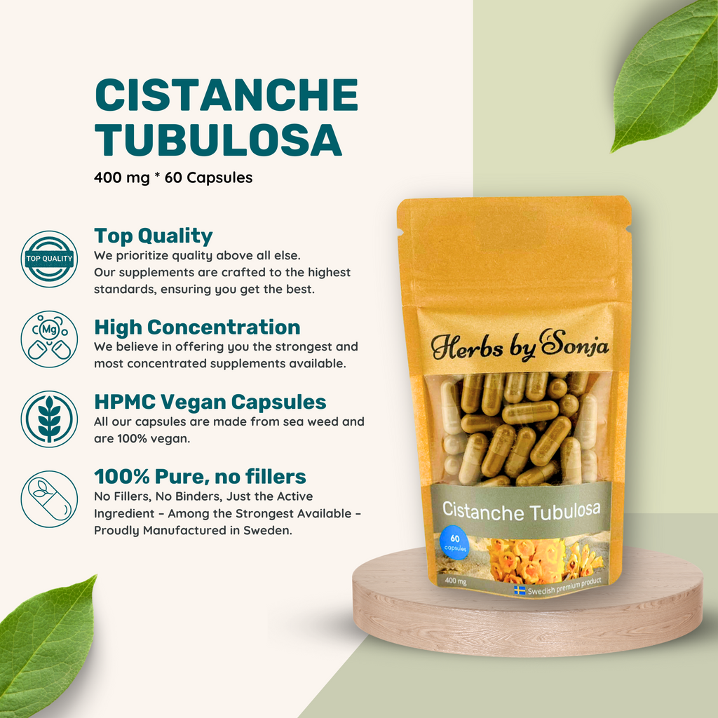 Cistanche tubulosa – bild 2 – Sonjas Apotek