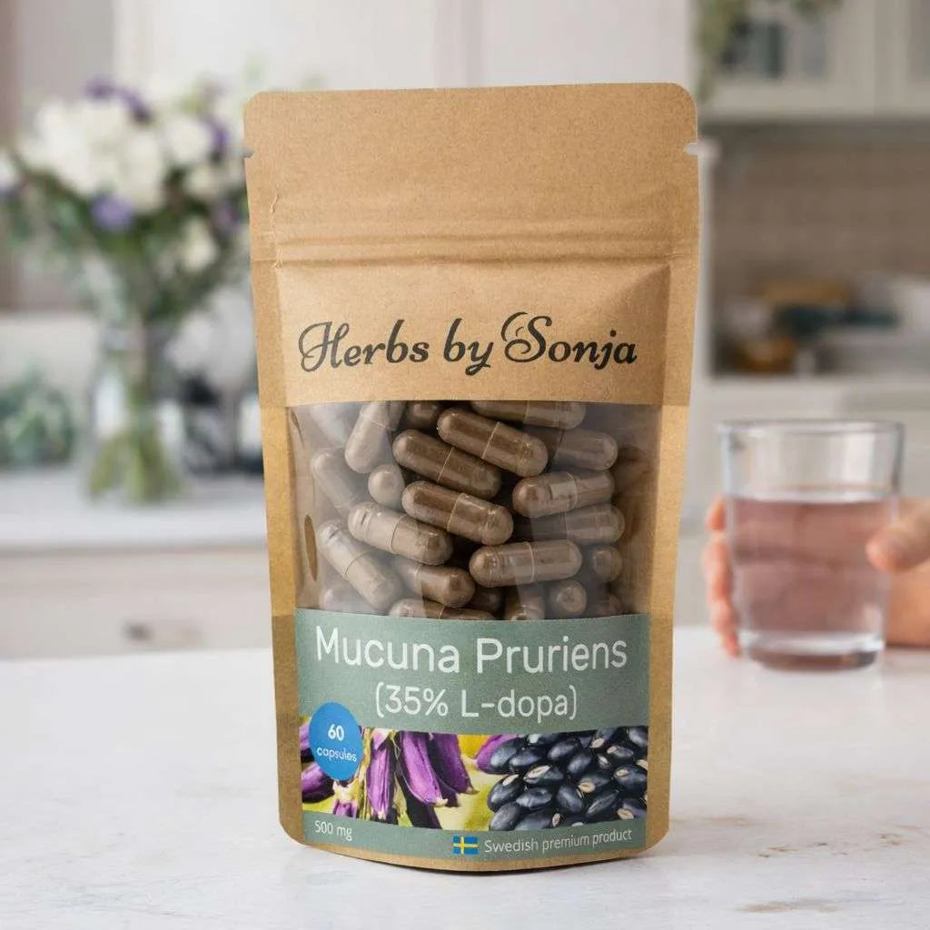 Mucuna Pruriens – bild 2 – Sonjas Apotek