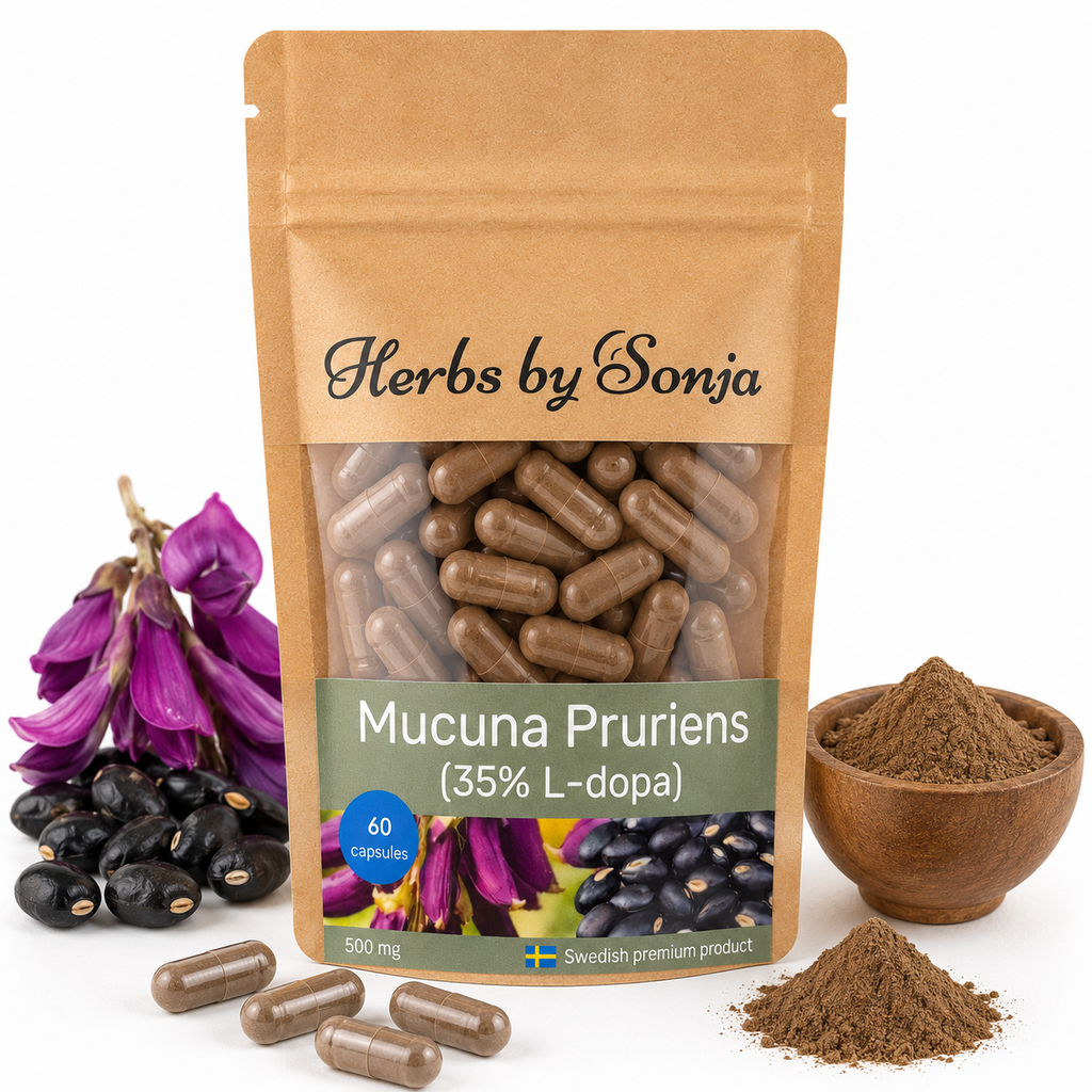 Mucuna Pruriens
