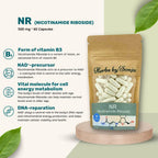 NR - Nikotinamid Ribosid – bild 2 – Sonjas Apotek