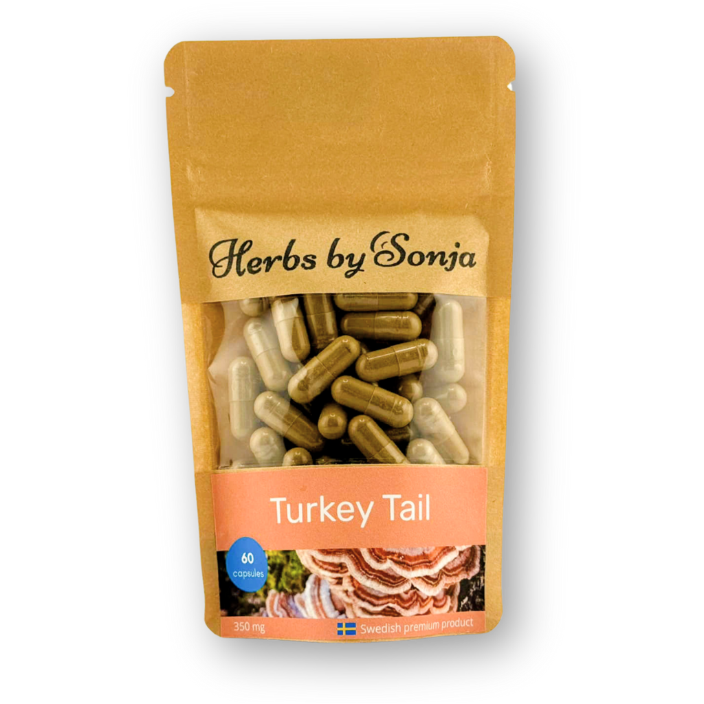 Turkey tail / Sidenticka – Sonjas Apotek