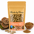 Turkey tail / Sidenticka – Sonjas Apotek